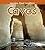 Caves (Learning about Landforms)