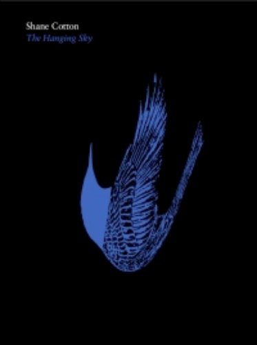 Shane Cotton: The Hanging Sky (Hardcover)