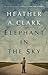 Elephant in the Sky: A Novel