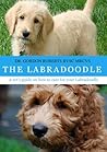 The Labradoodle: ...