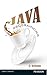 Java Programming