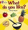 What Do You Like? Workbook (Collins Big Cat)