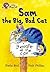 Sam the Big, Bad Cat Workbook (Collins Big Cat)