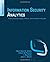 Information Security Analytics by Mark Talabis