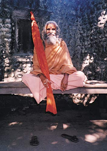 Dandi Swami: The Story of the Guru's Will, Maharishi Mahesh Yogi, the Shankaracharyas of Jyotir Math, & Meetings with Dandi Swami N (Paperback)