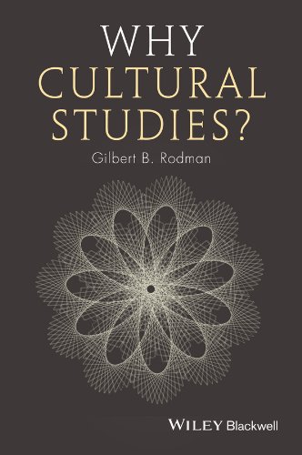 Why Cultural Studies (Paperback)