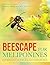 Beescape for Meliponines: Conservation of Indo-Malayan Stingless Bees
