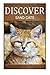 Sand Cats - Discover: Early...