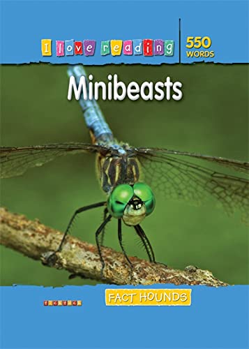 Minibeasts (Paperback)