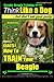 Beagle, Beagle Training AAA AKC: Think Like a Dog, But Don’t Eat Your Poop! | Beagle Breed Expert Training |: Here’s EXACTLY How to TRAIN Your Beagle