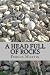 A Head Full of Rocks