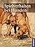 Spielverhalten bei Hunden by Mechtild Käufer