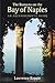 The Romans on the Bay of Naples: An Archaeological Guide