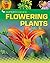 Flowering Plants (Super Science)