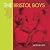 The Bristol Boys: The Untol...