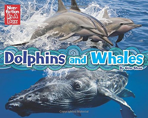 Dolphins & Whales in a Box (Paperback)