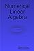 Numerical Linear Algebra