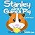 Stanley Gets a Guinea Pig