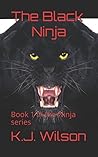 The Black Ninja: Hero's Aren't Always What They Seem!