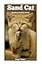 Sand Cat: Amazing Creature Series