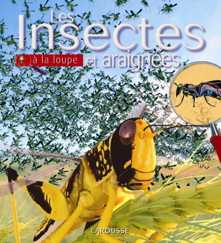 Insectes et araignées (Paperback)