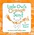 Little Owl's Orange Scarf