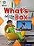Project X Origins: Gold Book Band, Oxford Level 9: Communication: What's on the Box?