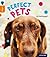 Oxford Reading Tree inFact: Level 6: Perfect Pets