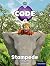 Project X Code: Jungle Stampede