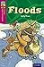Oxford Reading Tree TreeTops Myths and Legends: Level 10: Floods