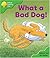 What a Bad Dog! (Oxford Reading Tree: Stage 2: Storybooks)