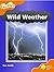 Oxford Reading Tree: Stage 6: Fireflies: Wild Weather