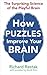 How Puzzles Improve Your Brain: The Surprising Science of the Playful Brain