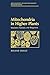 Mitochondria in Higher Plants by Roland Douce