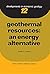 Developments in Economic Geology by Harsh K. Gupta