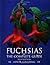 Fuchsias