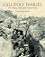 Gallipoli Diaries: The Anzac's Own Story Day by Day