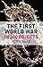 The First World War in 100 Objects