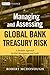 Managing and Assessing Global Bank Treasury Risk: A Modular Approach for Risk Management and Audit