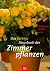 Das farbige Hausbuch der Zimmerpflanzen