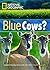 Blue Cows?