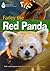Farley the Red Panda + Book with Multi-ROM: Footprint Reading Library 1000