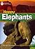 Happy Elephants + Book with Multi-ROM: Footprint Reading Library 800