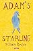 Adam's Starling