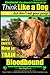 Bloodhound, Bloodhound Training AAA AKC: | Think Like a Dog, but Don’t Eat Your Poop! | Bloodhound Breed Expert Training |: Here’s EXACTLY How to Train Your Bloodhound