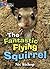 The Fantastic Flying Squirrel Workbook (Collins Big Cat)