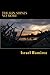 The Sun Shines No More by Israel Ramirez
