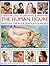 A Masterclass in Drawing & Painting the Human Figure: Anatomy, The Nude, Portraits And People