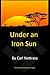 Under an Iron Sun (The Eisen Project)
