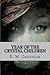 Year of the Crystal Children by E.M. Chandler